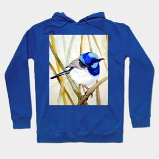 Blue Wren Hoodie